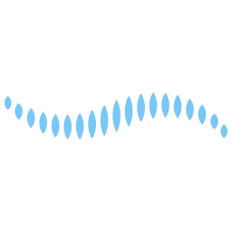 RehaFocus
